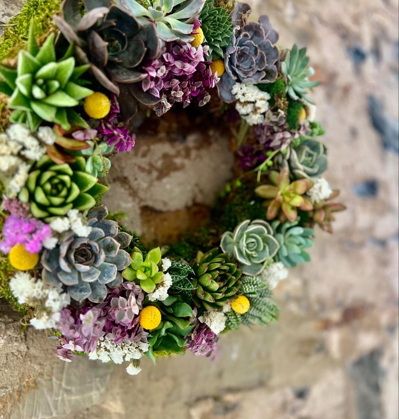 Succulent Wreaths