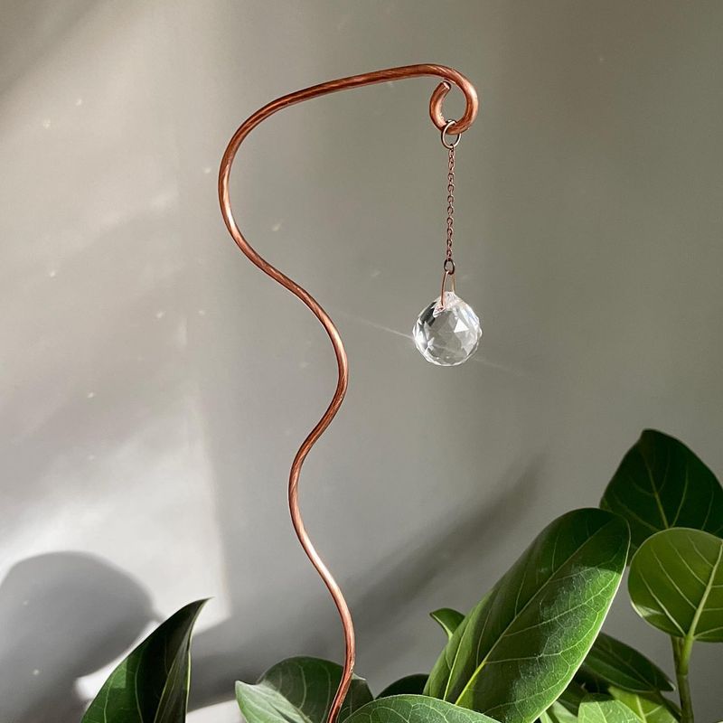 Sun-Catching Vines