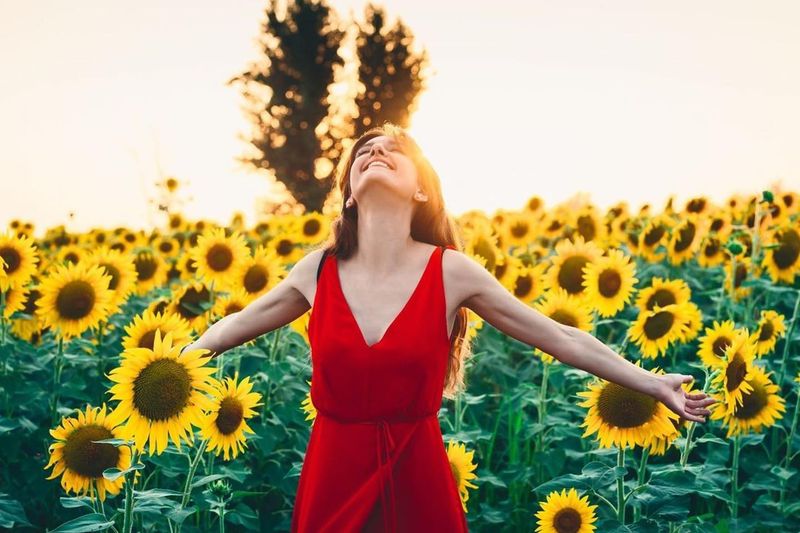 Sunflowers and Human Health