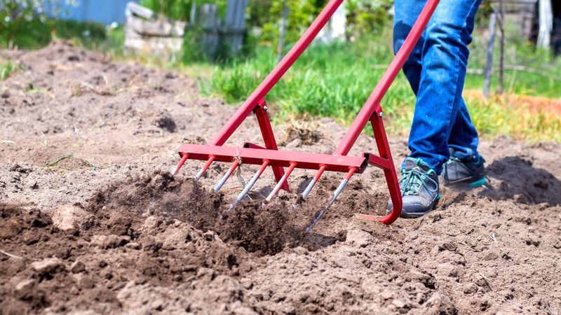Soil Aeration Technique