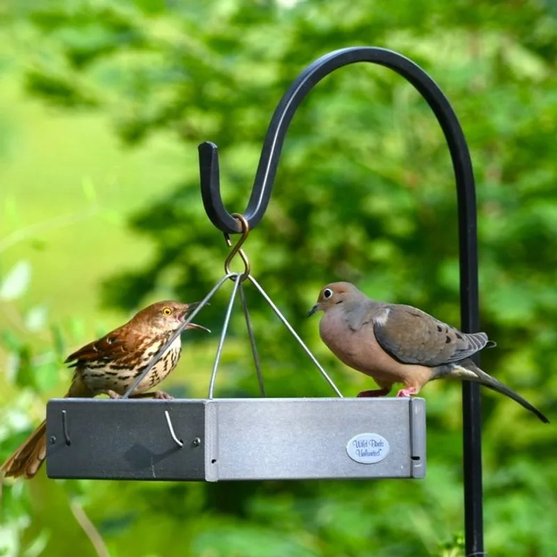 Support for Birds