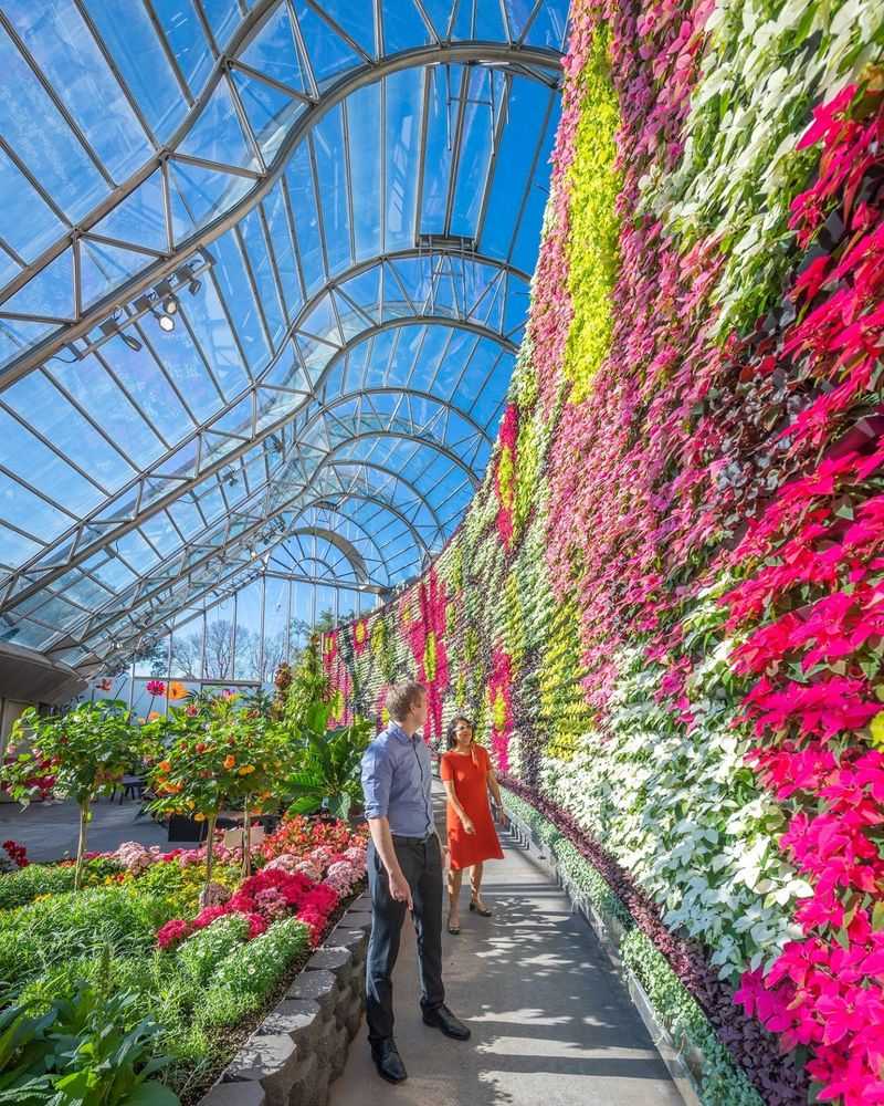 Sydney's Royal Botanic Garden