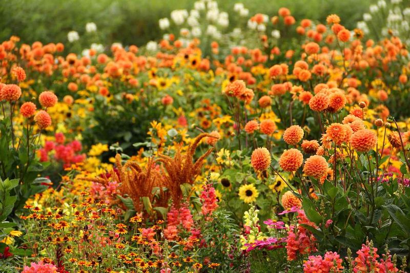 Symbiotic Planting