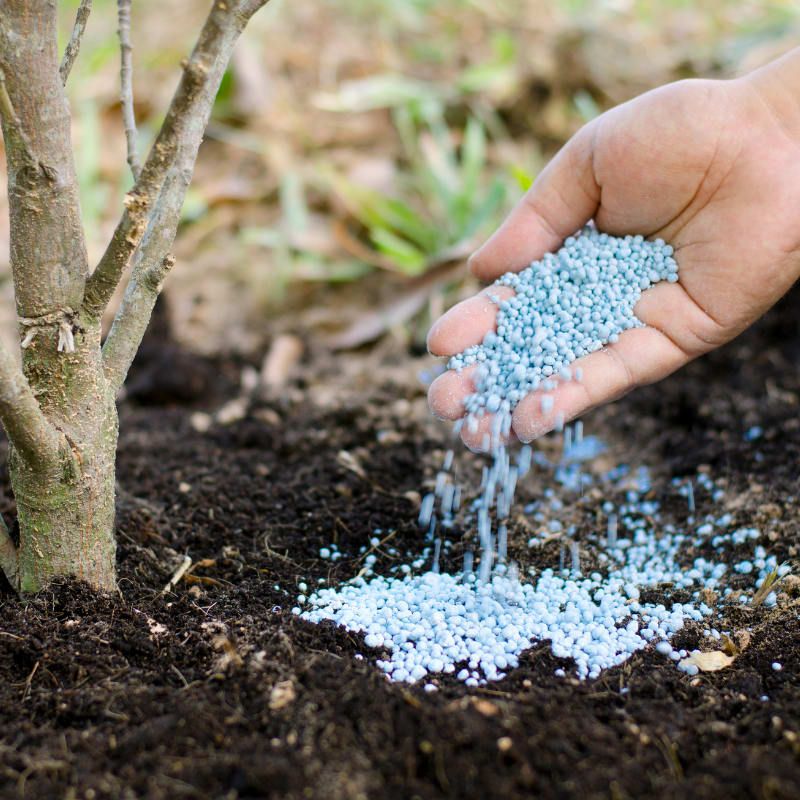 Synthetic Fertilizer Overuse