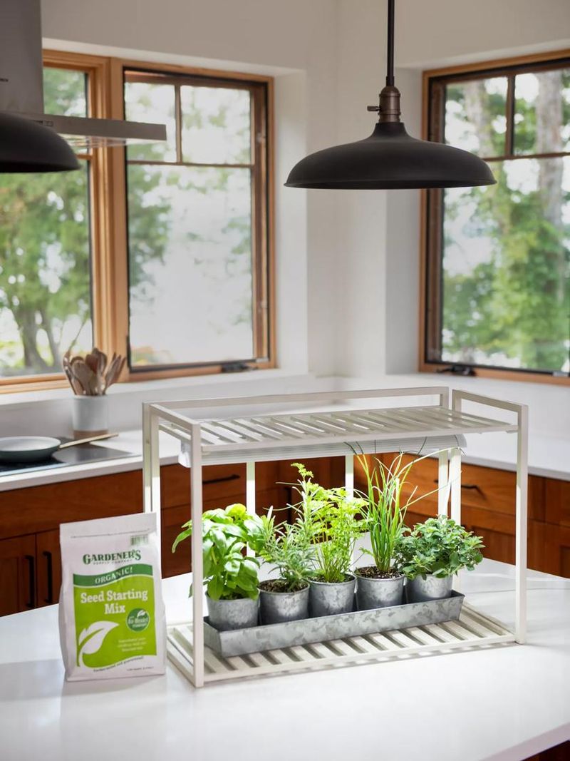 Tabletop Herb Kit