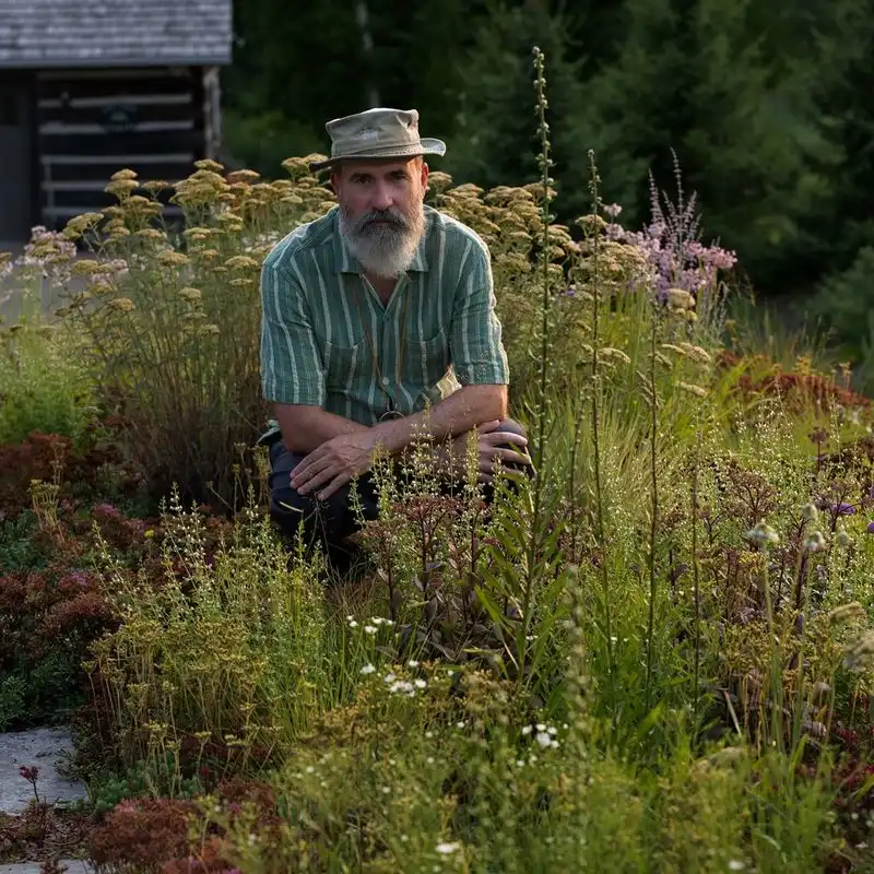Talking to Plants Encourages Growth