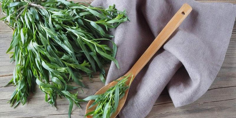 Tarragon Treat