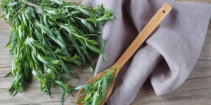 Tarragon Treat