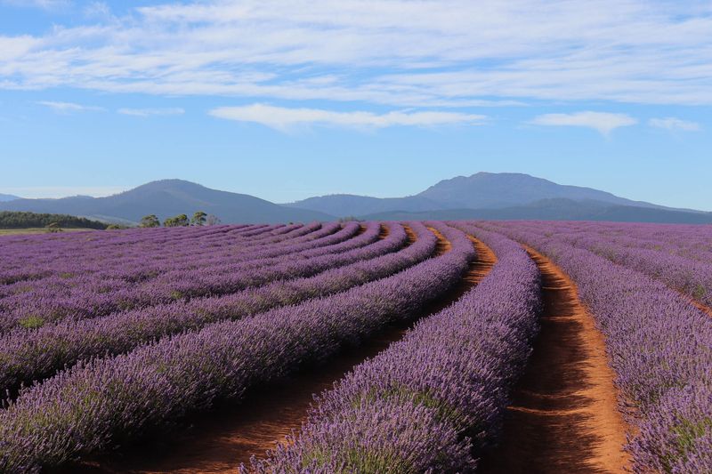 Tasmania, Australia
