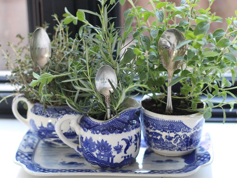 Tea Cup Herb Planters