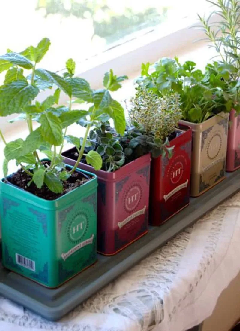 Tea Tin Herb Garden
