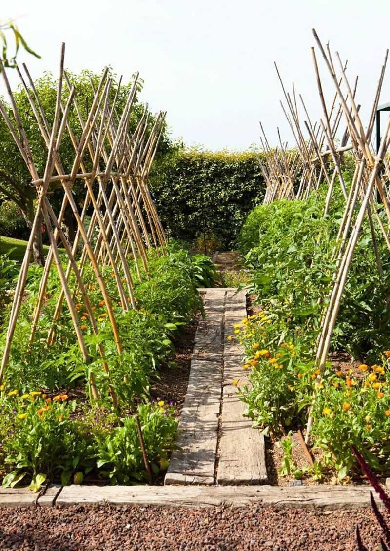 Teepee Trellis