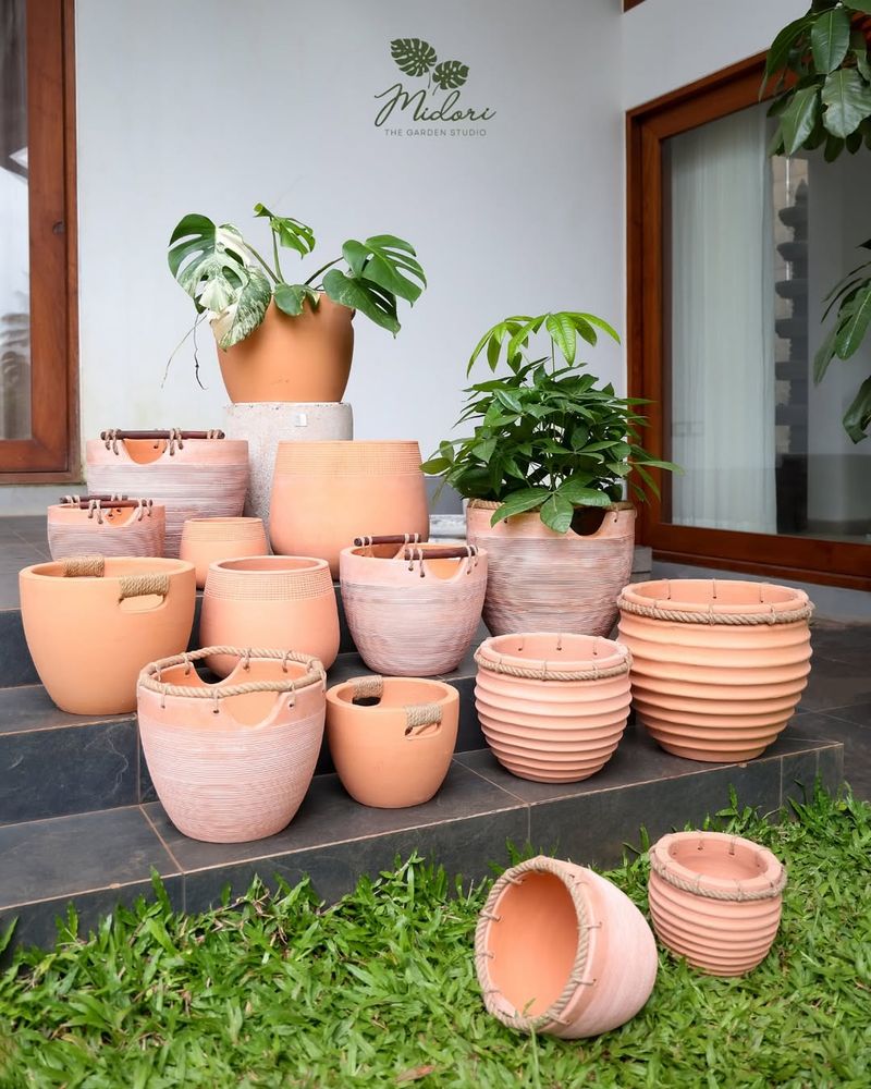 Terracotta Plant Pots