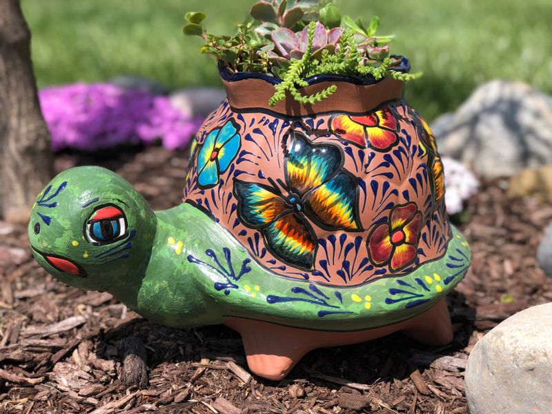 Terracotta Turtle Garden