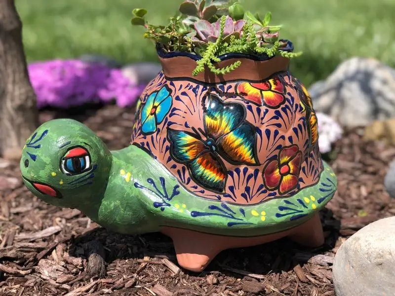 Terracotta Turtle Garden