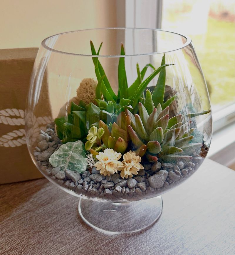 Terrarium Creations