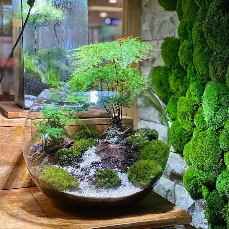 Terrarium Displays