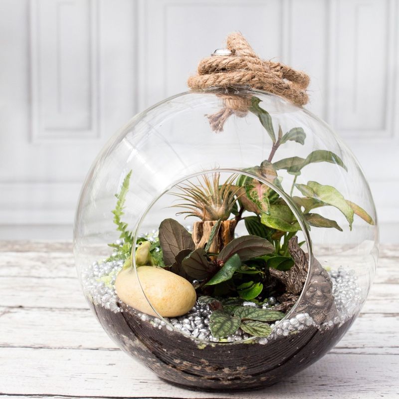 Terrarium Garden