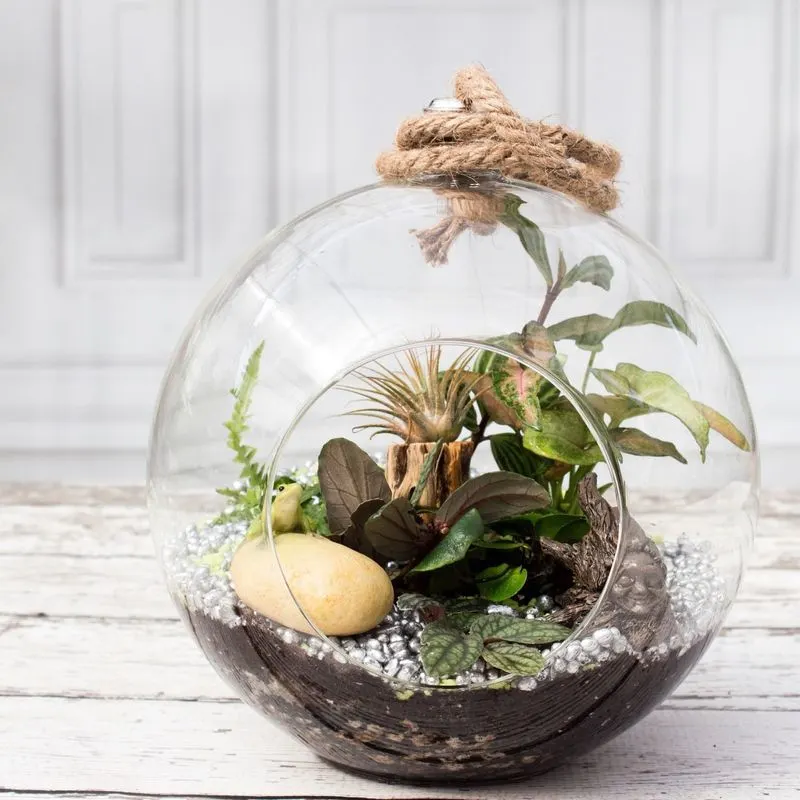 Terrarium Garden