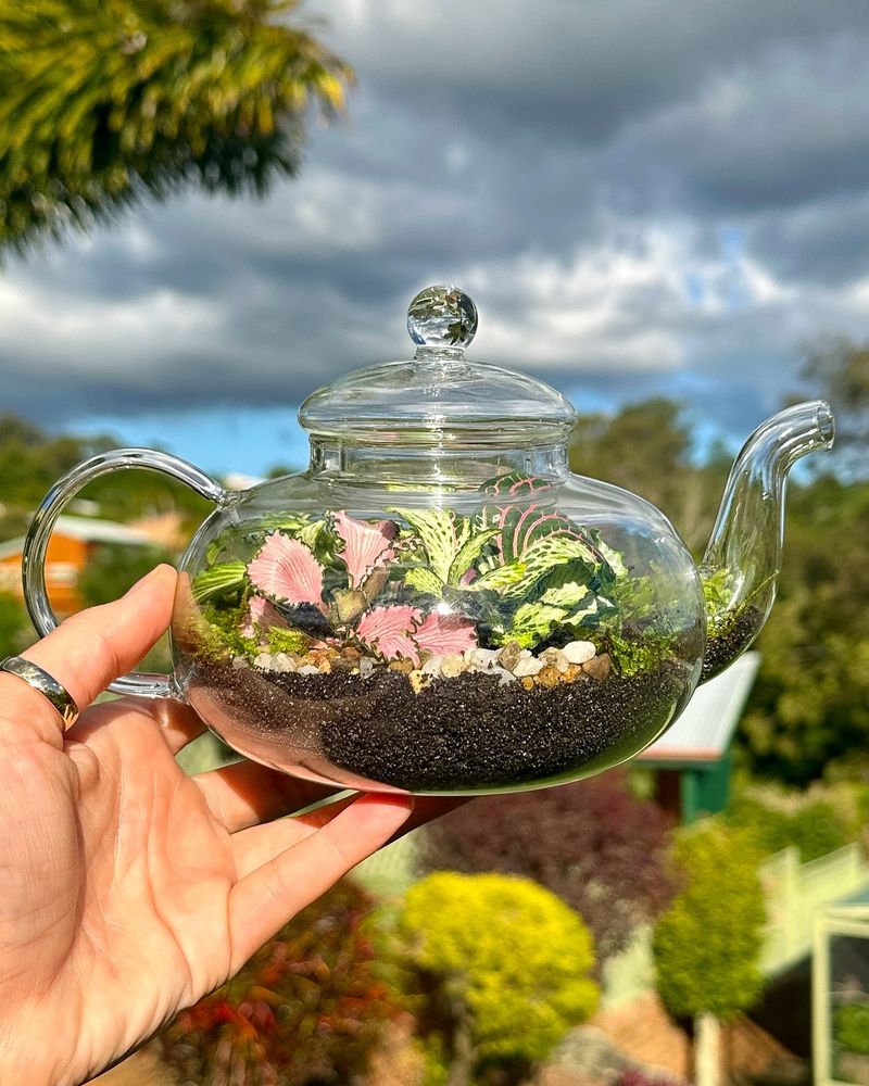 Terrarium Herb Garden