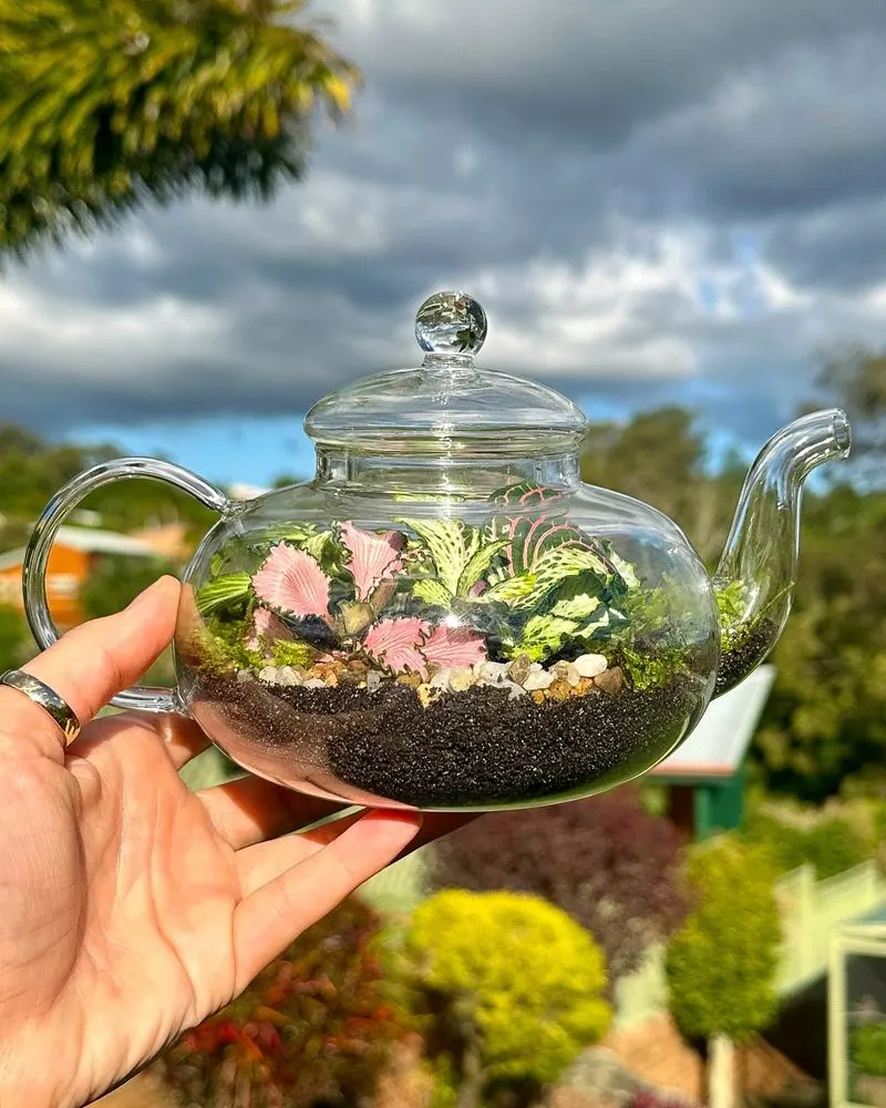 Terrarium Herb Garden