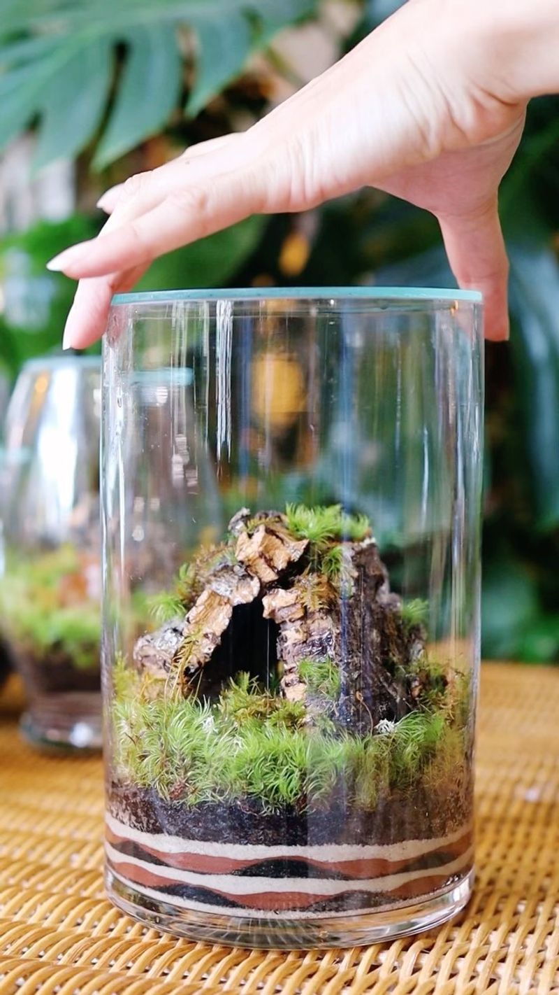 Terrarium Tedium