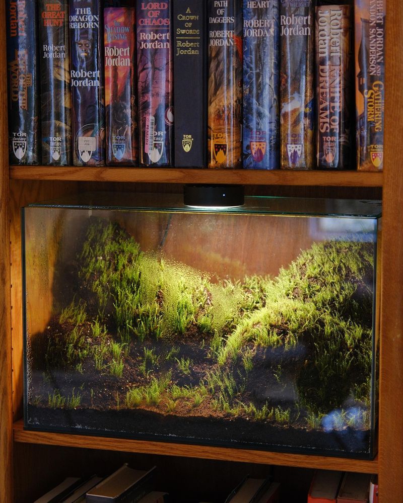 Terrariums on Bookshelves