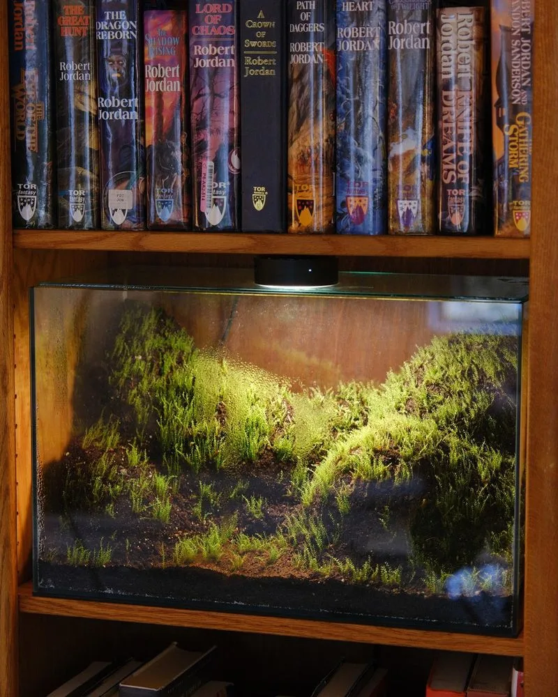 Terrariums on Bookshelves