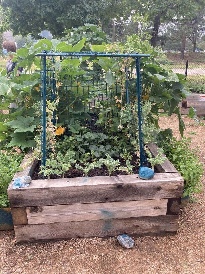 Use Companion Planting