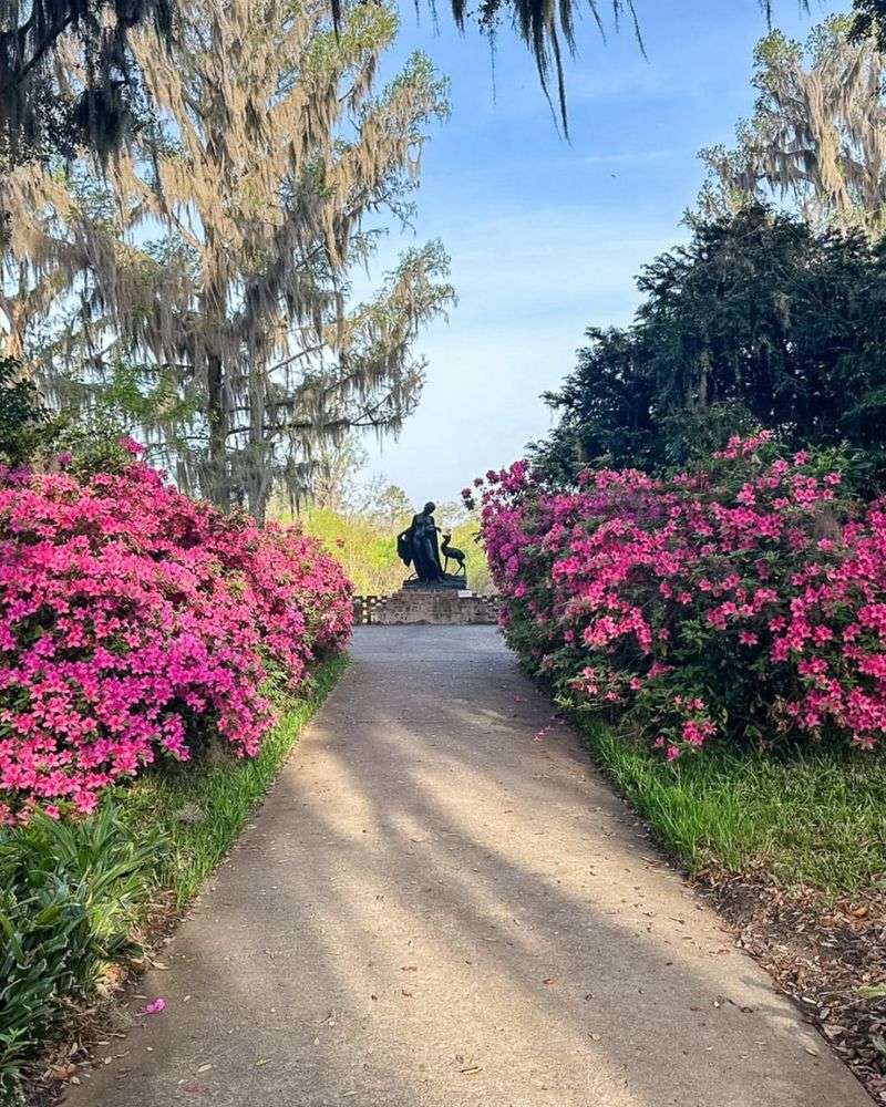 The Azalea Path