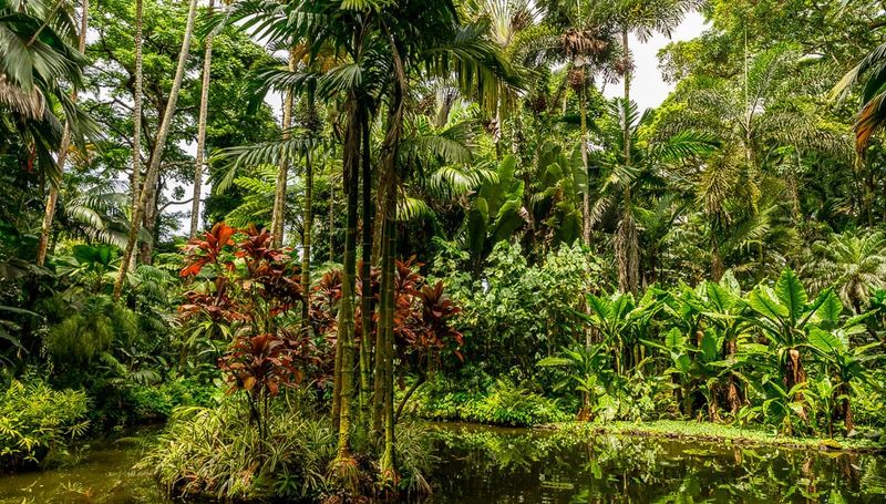 The Botanical Wonderscape
