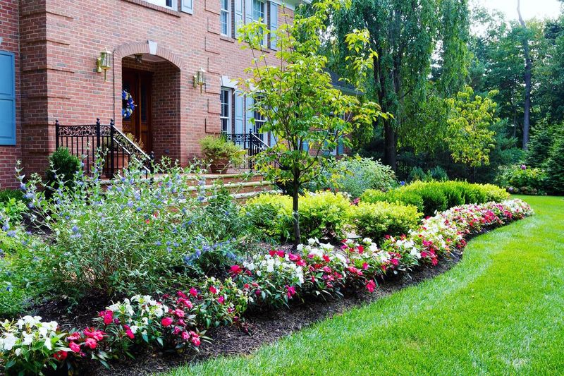 The Burst of Color in Flower Beds