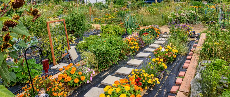 The Community Garden Haven