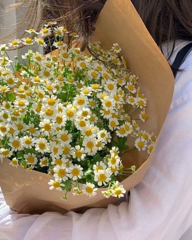 The Daisy's Fibonacci Sequence