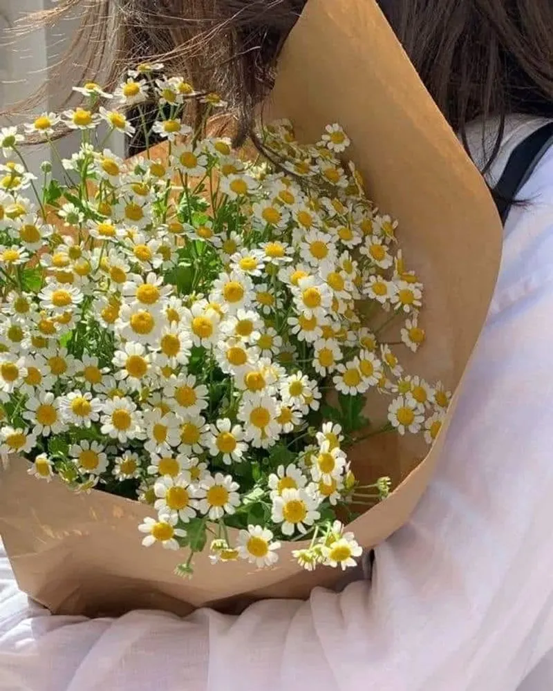 The Daisy's Fibonacci Sequence