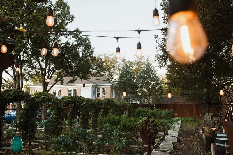 The Gentle Glow of Garden Lights