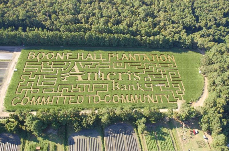 The Horticultural Maze