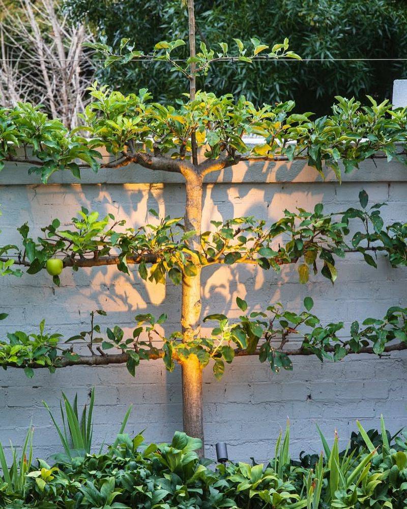 The Language of Leaf Position