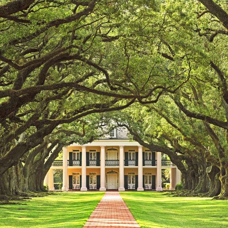 The Old Plantation House