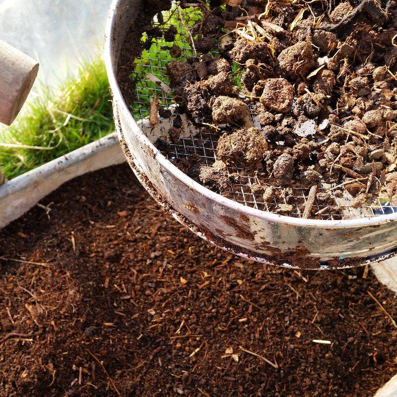 The Role of Organic Matter