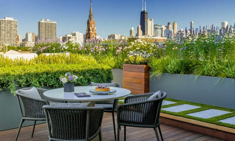 The Rooftop Retreat