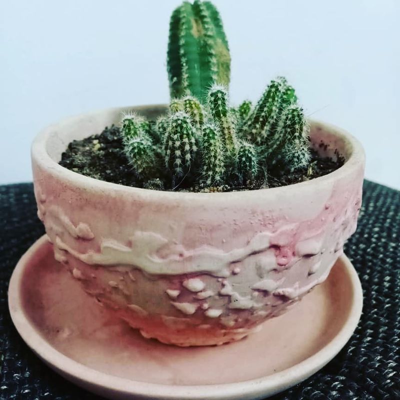 The Rustic Ceramic Pot