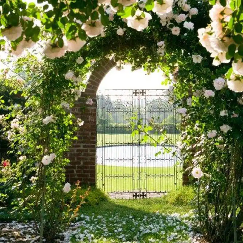 The Secret Garden Getaway