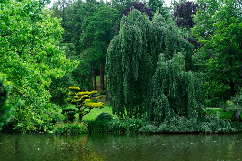 The Serene Lakeside Haven