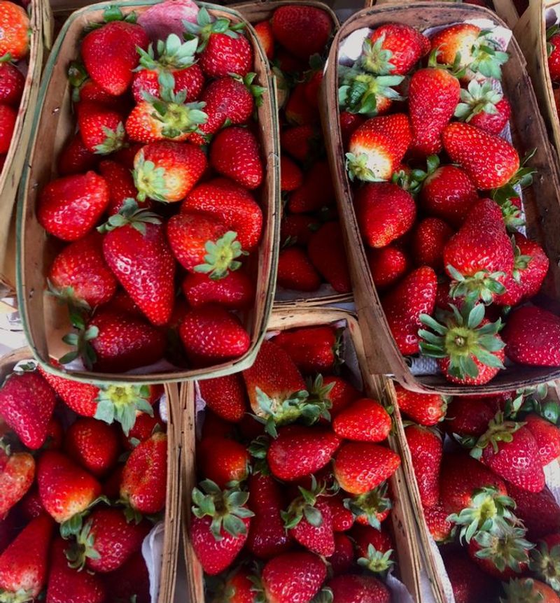 The Strawberry Plant Is Perennial