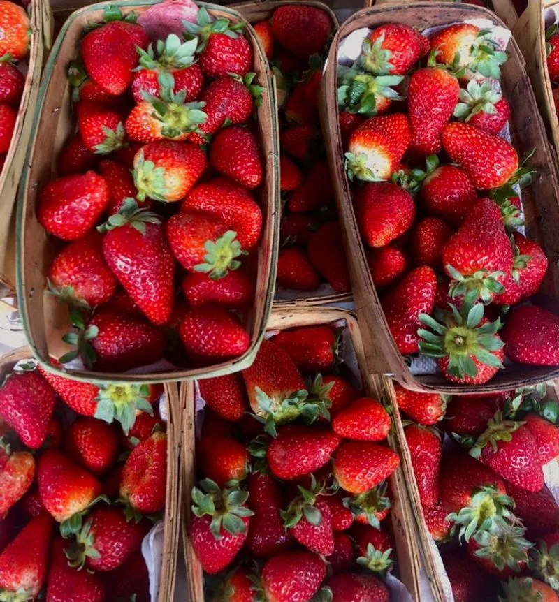 The Strawberry Plant Is Perennial