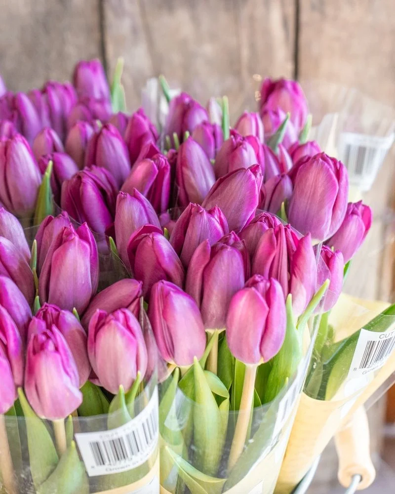 The Symbol of Spring