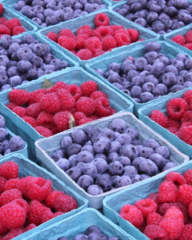 The Taste of Freshly Picked Berries