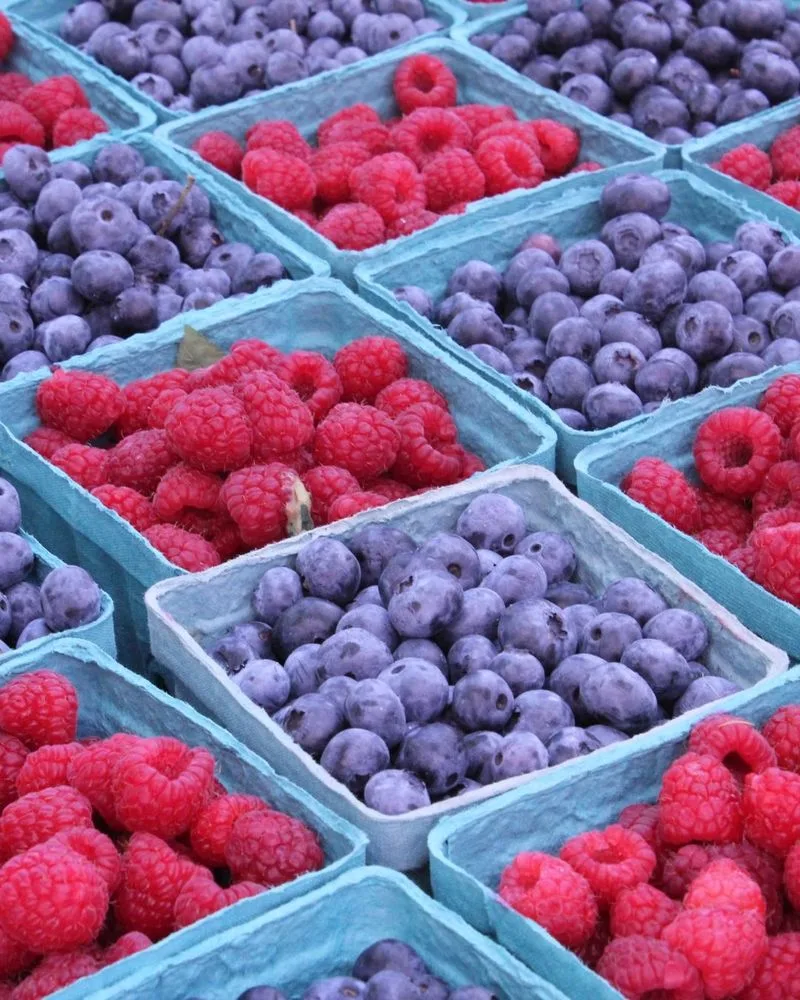 The Taste of Freshly Picked Berries