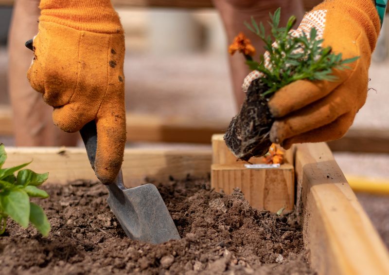 The Timing of Planting